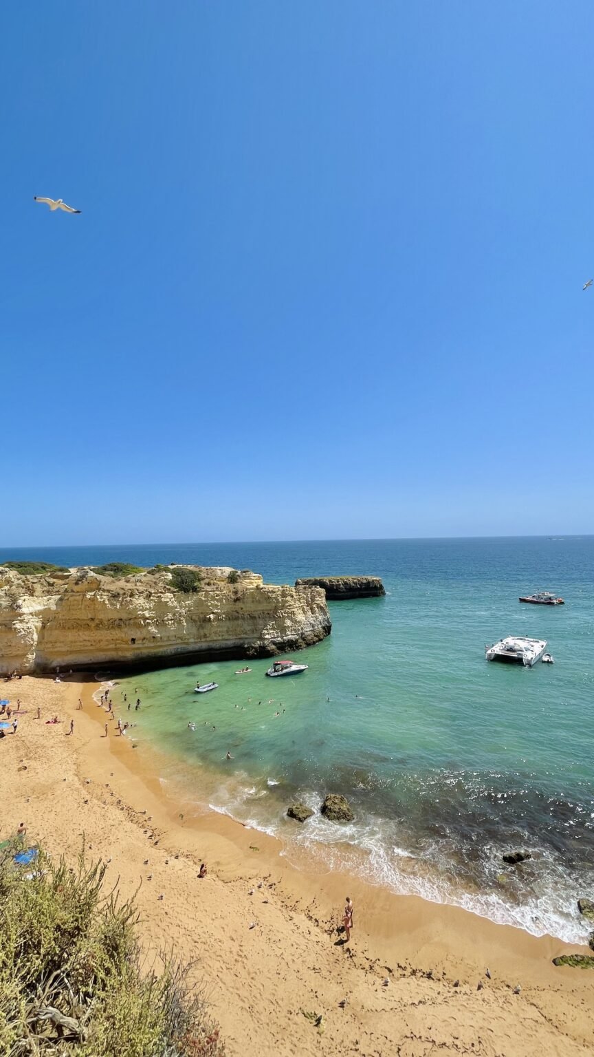 Coastal landscape viewed from a cliff