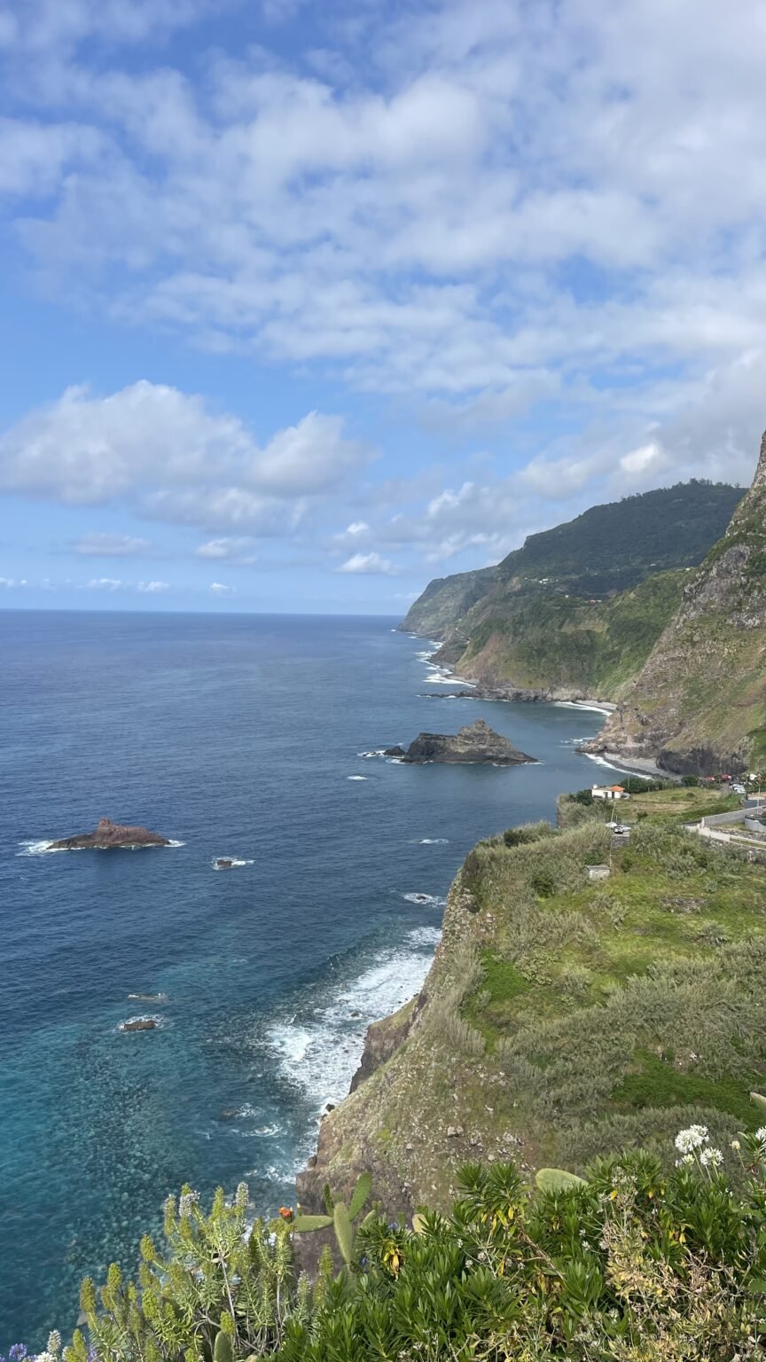 Rocky coastal landscape viewed from above
