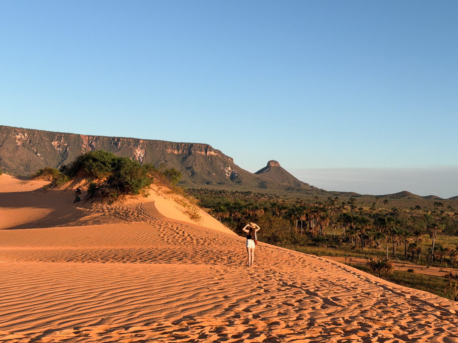 Traveler framed by an expansive natural landscape